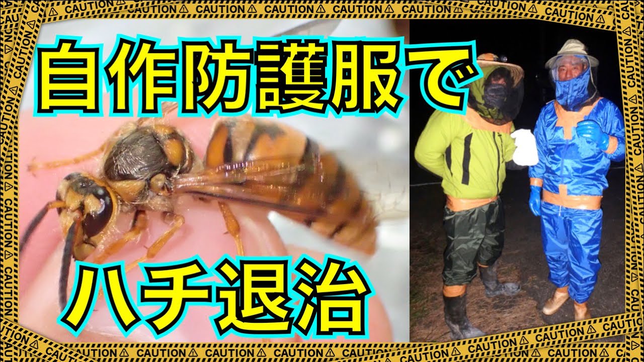 手作りの防護服でスズメバチの巣を強奪して蜂の子とハチ酒を作って食べる Youtube