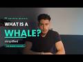What is a crypto whale ?