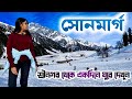 Sonmarg Kashmir | Winter Kashmir Tour | Srinagar to Sonmarg Day Tour | Sonmarg Tourist Places |