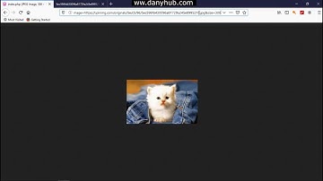 Auto resize or scale image to fit in browser in php