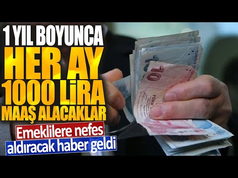 Emekliler İçin Ek Gelir Fırsatı: 12 Ay Boyunca Her Ay 1.000 TL!