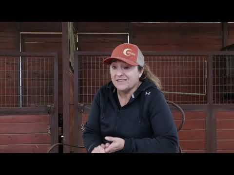 Vídeo: O Kit Essencial Foaling para o Mare Owner de primeira viagem