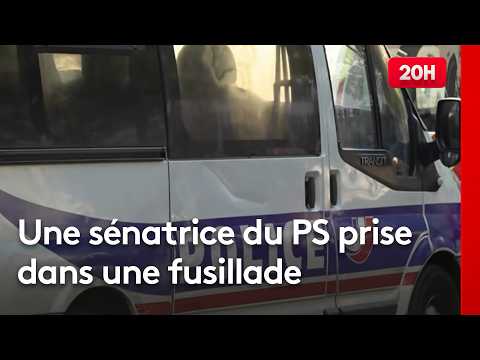 Une sénatrice du PS se retrouve en plein milieu d'un règlement de compte à Sevran