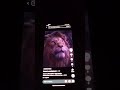SIMBA VS SHERE KHAN ANIMAÇÃO E LIVE ACTION SIMBA VS SHERE KHAN ANIMAÇÃO E LIVE ACTION