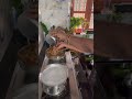 అరటికాయ  బెల్లం  పులుసు #lunch  kosam #cooking #shortvideo #youtubeshorts #ytshorts