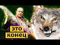 Большой ДРЫН идеален против диких зверей в лесу