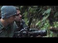 El espectacular documental sobre la riqueza de aves en Colombia