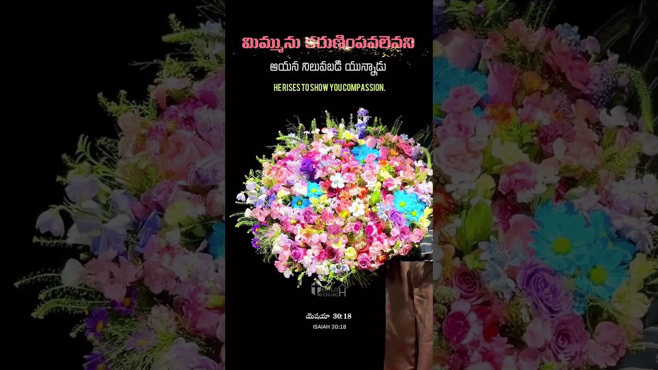 Today's Promise ఈ రోజు దేవుని మాట | 05-01-2026 | Telugu Christian Reels 