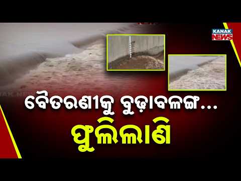 ବନ୍ୟା ଭୟ ଘାରିଲା | Odisha Flood Alert | Rising Rivers Trigger Flood Fears Across State