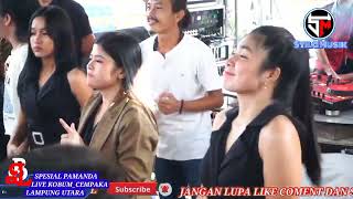 SYILA MUSIK PROGRAM TERBARU 2024 spesial PAMANDA CEMPAKA LAMPUNG UTARA DULL BASS FULL REMIX