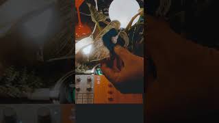 Hideo Nakasako pairs plant and Yamaha SEQTRAK with Biotron MIDI controller for ambient #playtronica