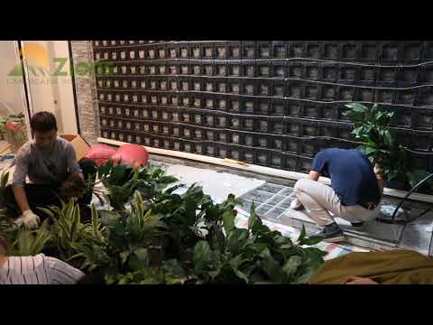 Video HƯỚNG DẪN TRỒNG CÂY-THI CÔNG TƯỜNG CÂY, VƯỜN TRÊN... - youtube