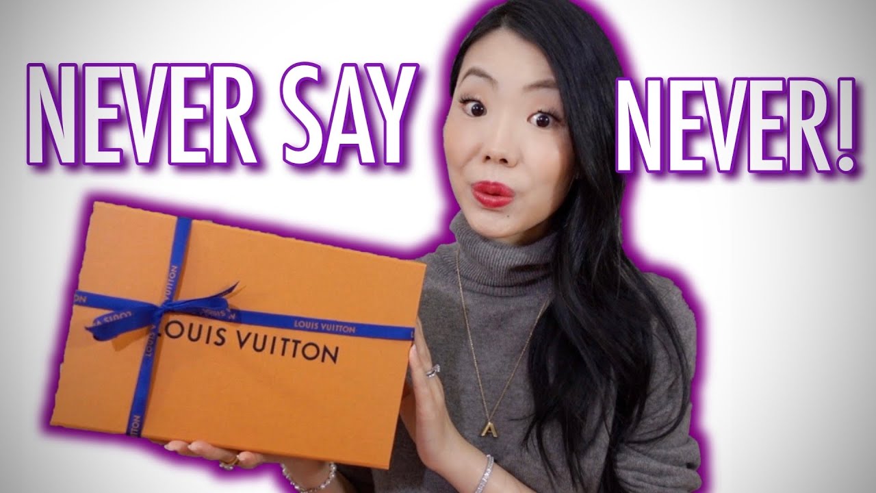 Louis Vuitton Petit Sac Plat Bag Review 👜