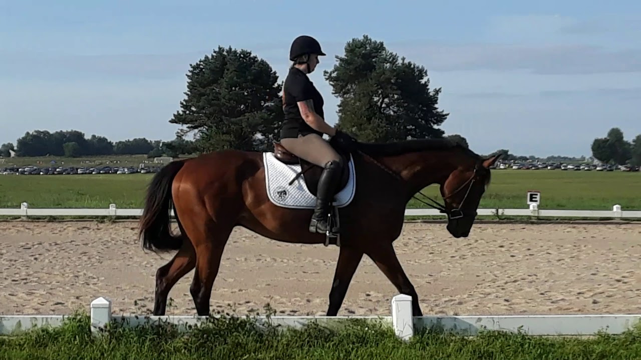Jambalaya Joe intro C YouTube