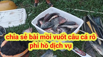 Chia sẻ bài mồi vuốt câu cá rô phi hồ dịch vụ. Cá cuốn ổ giật liên tục #moivuot