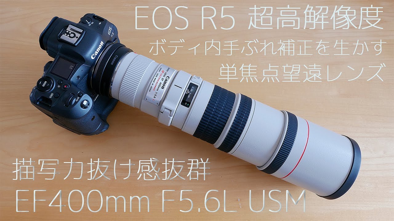 【Canon EOS R5】高解像度とボディ内手ぶれを生かす描写力抜群単焦点望遠レンズ EF400mmF5.6L USMレビュー