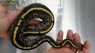 Famous Stranger Things At The HQ Wealth