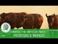 Veja o 1º episódio de Senepol - Do Pasto ao Prato