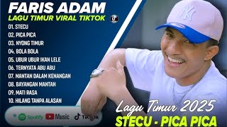 Faris Adam - STECU | Juan Reza - PICA PICA | NYONG TIMUR || LAGU POP TIMUR VIRAL TIKTOK 2025