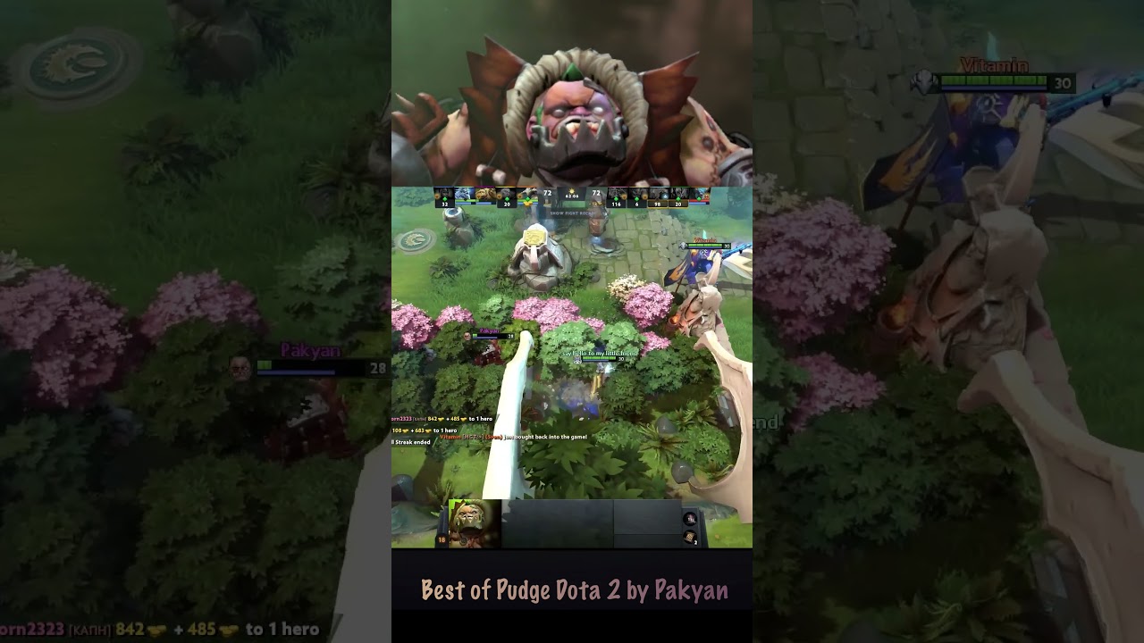 022 Best of Pudge Dota 2 by Pakyan  #dota2 #gaming #games #gameplay #dotawtf #gamer #dota2highlights