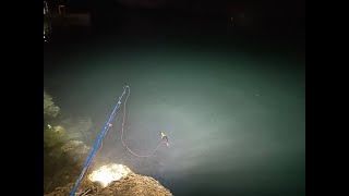 【配信】漆黒の海に揺蕩いし純白の獲物を求めて