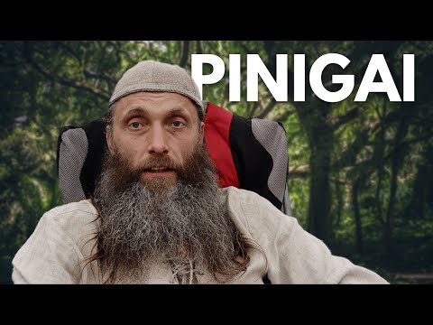 Video: Kaip užsidirbti pinigų rašant tekstą?