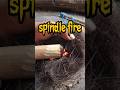 bow drill the traditional art of starting a fire #primitivefire #traditionalfire #survivalfire
