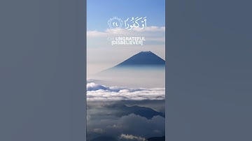 إِنَّا نَحْنُ نَزَّلْنَا عَلَيْكَ ٱلْقُرْآنَ تَنزِيلًا l تلاوة هادئة للقارئ إسلام صبحي
