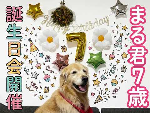 Happy 7th Birthday! So excited to be celebrated by everyone!