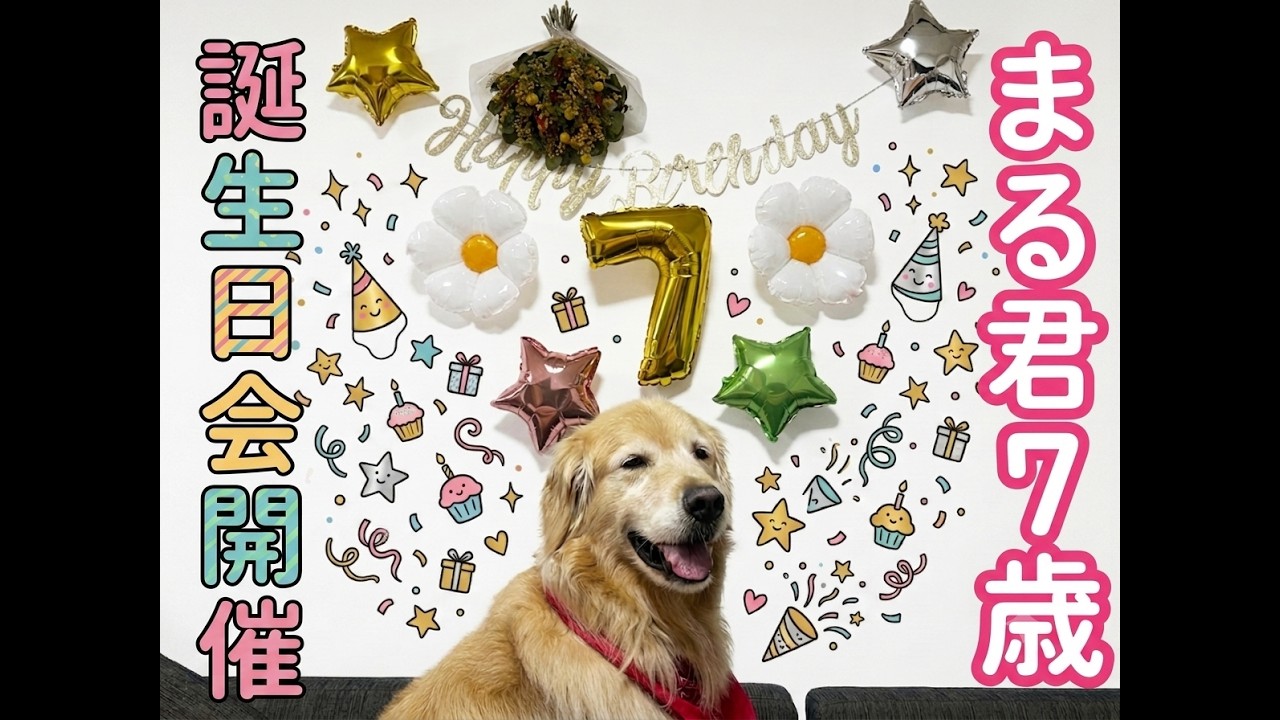 祝！７歳！みんなに祝われ大興奮！