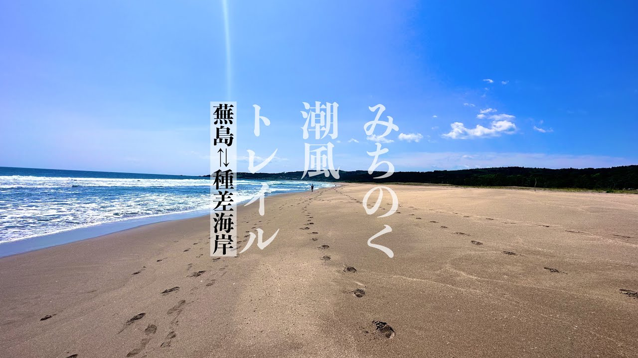 【みちのく潮風トレイル】八戸市ルート蕪島⇄種差海岸　浜辺の花を心地良く揺らす潮風