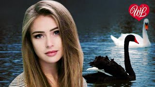 СЕРЫЕ ЛЕБЕДИ ♥ КРАСИВЫЕ ПЕСНИ ДЛЯ ДУШИ WLV ♥ ПЕСНИ СПЕТЫЕ СЕРДЦЕМ ♥ RUSSIIAN MUSIC HIT WLV