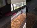 long jump perfect technique