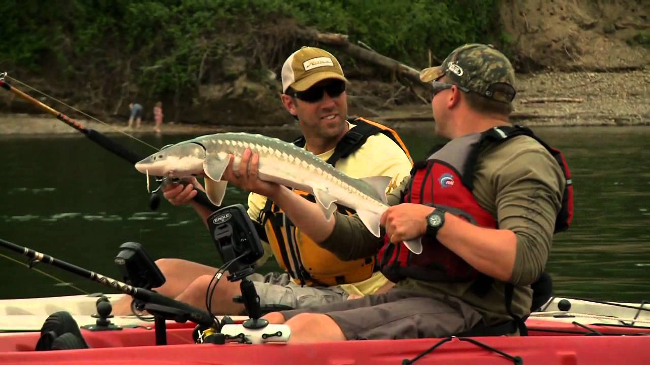TV Segment Kayak Fishing Oregon with Cody Herman targeting Sturgeon on