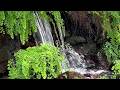10 Hours Relaxing Water Sounds for Sleep &amp; Deep Relaxation