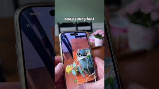 now my plants don’t have to struggle 🙌🙌 #planttips #plantcare #plants #plant #houseplants