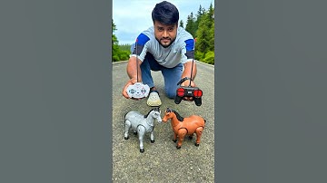Notun Duita RC Horse 🐎 Remote Control horse testing🔥