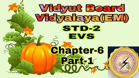 811. Std-2, EVS, Chapter-6, Part-1,Vidyut Board Vidyalaya | BHAGYESH THAKKAR