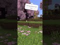 Find Minecraft egg challenge #trending #minecraft #usethissound