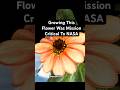 The First Flower Grown in Space in 2006 Still Matters More Than Ever in 2026