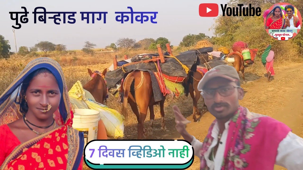 बिराड पुढे पाठीमागे लहान पिल्लं कोखरी.बऱ्याच दिवसातून आज सुंदर असं नियोजन