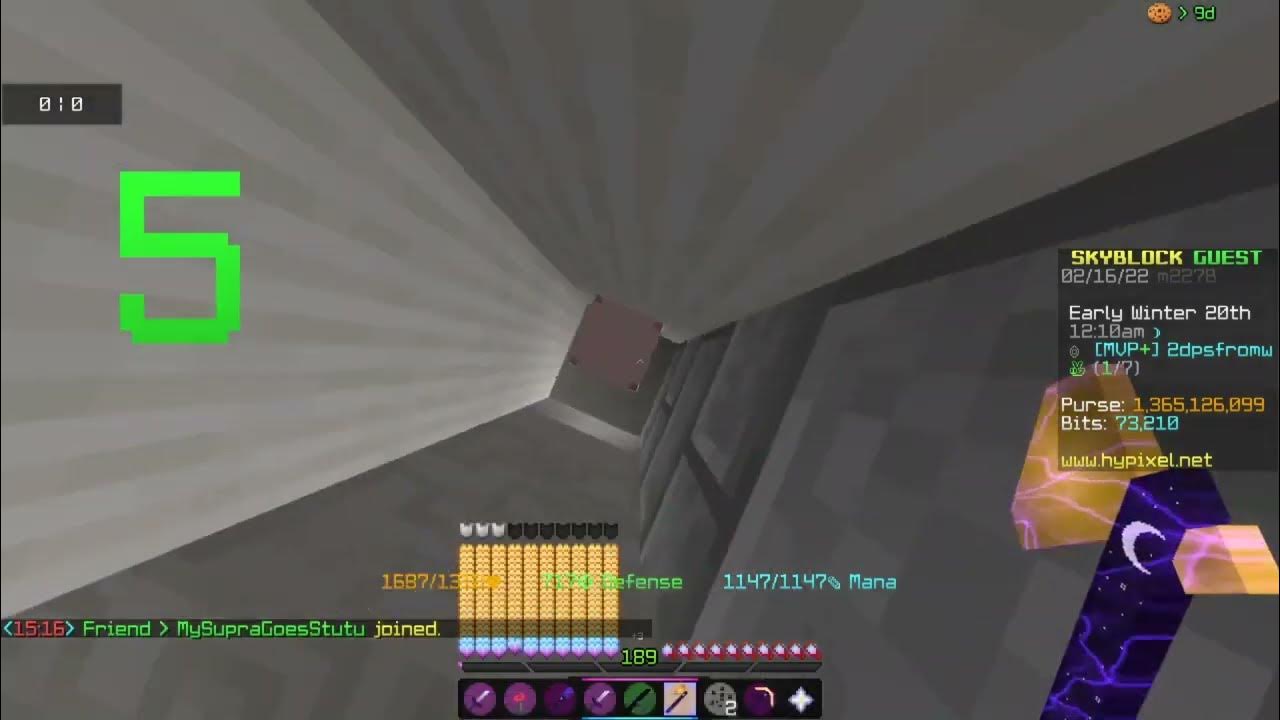 Best Bin Sniper in Hypixel Skyblock! TFM The Flipping Mod YouTube