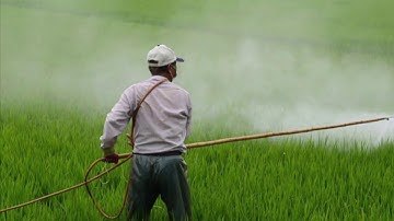 Agricultural Pollution Env Geo Project