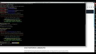 CACTUSTORCH_DDEAUTO