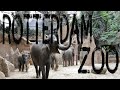 Rotterdam Zoo (Diergaarde Blijdorp), Holland Vlog