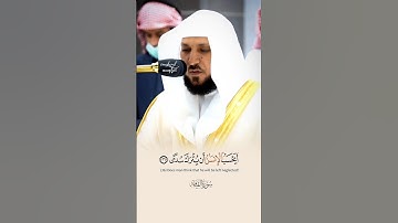 { أَيَحْسَبُ الْإِنْسَانُ أَنْ يُتْرَكَ سُدًى } 🎧💔تلاوة فضيلة الشيخ د.#ماهر_المعيقلي