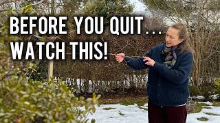 Download Lagu 4 redenen om rozen NIET op te geven MP3