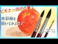 【ホルベイン ブラックリセーブル】激推しの筆でリンゴを描きます【透明水彩の基本】