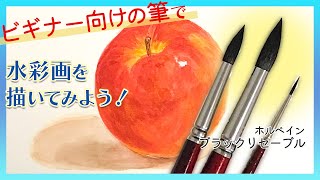 【ホルベイン ブラックリセーブル】激推しの筆でリンゴを描きます【透明水彩の基本】