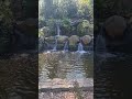 Relaxing Waterfall Water Sounds